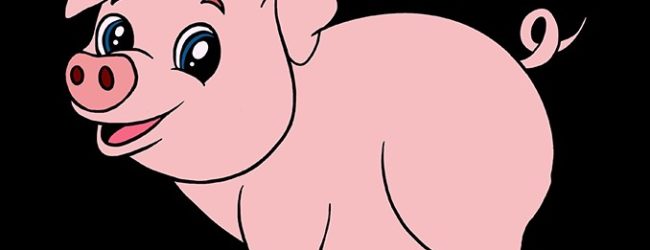 Svinjske polovice “bježe” cestom