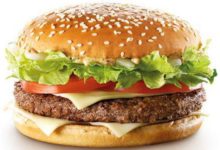 POLITIKA, MCDONALD’S I NESANICA