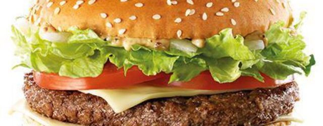 POLITIKA, MCDONALD’S I NESANICA