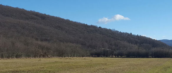 Sljedeći tjedan započinje isplata izravne potpore poljoprivrednicima