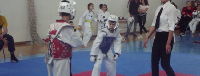 Održan “17. Gacka Open 2018.”