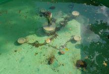 Kome smetaju fontane?