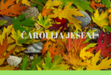 Radionica za djecu “Čarolija jeseni”