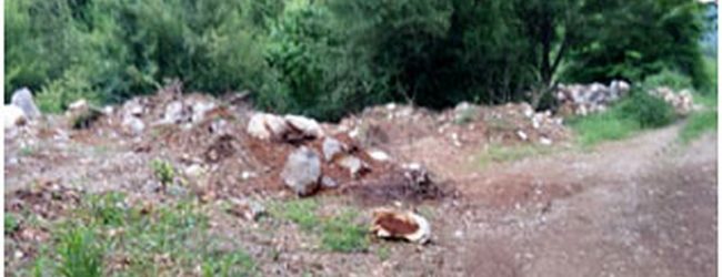 Tko će odgovarati za Brakusovu Dragu?