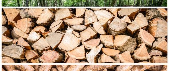 Fond za zaštitu okoliša daje do 45 tisuća kuna za korištenje obnovljivih izvora energije