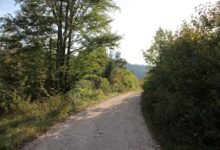 Ulaganje u šumsku infrastrukturu – Podmjera 4.3.