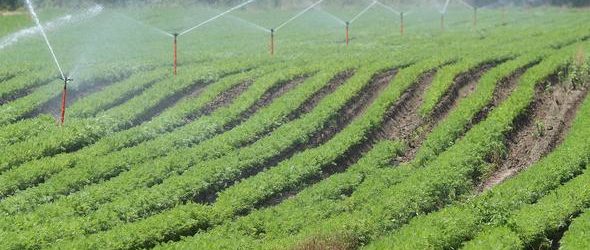 332 milijuna kuna za navodnjavanje – Otvoren novi natječaj