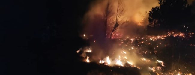 Jučer gorjelo kod Senja, oprez kod spaljivanja biljnog otpada!