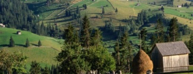 Do 50.000 kn za projekte udruga koje promiču poljoprivredu i vrijednost ruralnog prostora RH