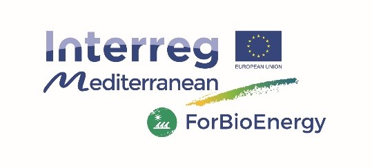Završna konferencija projekta ForBioEnergy