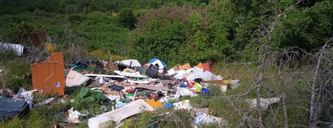 Naučimo pametno gospodariti otpadom: Pitali ste nas, pitamo mi Vas