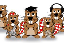 Učenici otočke osnovne škole sudjelovali na natjecanju iz informatike Dabar 2020.