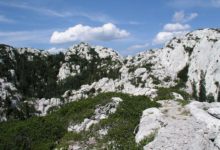 Prigodni program povodom Međunarodnog dana planina u JUNP Sjeverni Velebit