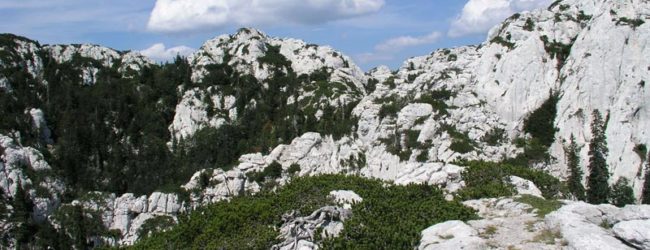 Prigodni program povodom Međunarodnog dana planina u JUNP Sjeverni Velebit