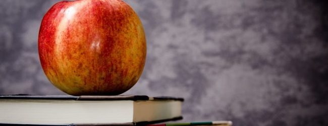 Uspješno završen projekt “Zdravi obrok”