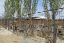 Priopćenje iz Ureda gradonačelnika Kostelca: Izgradnja bazena od 3.000.000,00 kuna  umjesto skloništa za životinje