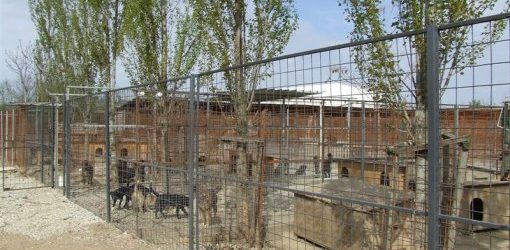 Priopćenje iz Ureda gradonačelnika Kostelca: Izgradnja bazena od 3.000.000,00 kuna  umjesto skloništa za životinje