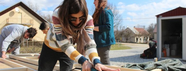 Dvotjedni volonterski kamp “Let’s grow together”