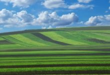 Novi natječaji za potporu  ulaganja u preradu, marketing i/ili razvoj poljoprivrednih proizvoda