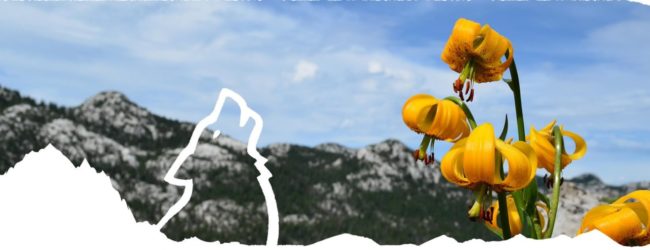 Park prirode Velebit najavljuje početak sezone