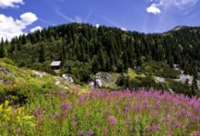 Novo radno vrijeme Babić Siče