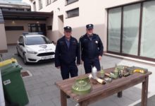 U Korenici dragovoljno predano više od 600 komada raznog streljiva