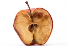 Nešto je (ipak) trulo u državi Hrvatskoj!