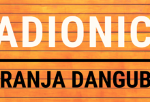 Sutra završni koncert polaznika radionice sviranja dangubice