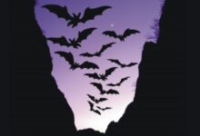 Međunarodna noć šišmiša u Pećinskom parku Grabovača