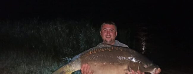 U Švičkom jezeru ulovljen šaran kapitalac težak preko 14 kg!