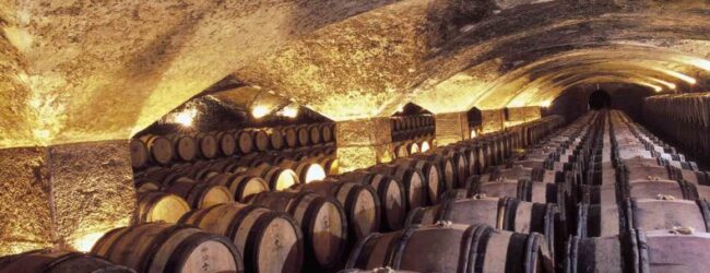 Uskoro natječaj za mjeru Ulaganja u vinarije i marketing vina