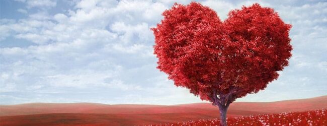 Priča za Valentinovo: Što napraviti kada te muž vara sa tvojom šeficom? Odeš u drugu firmu!