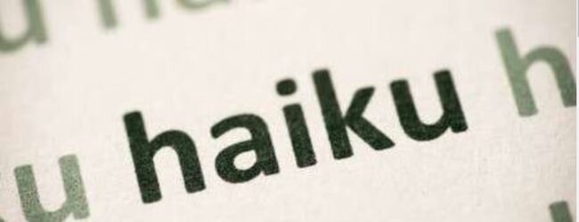 Natječaj – Školski sport i olimpijski pokret pod nazivom „Haiku“