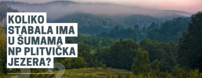 Nagradni natječaj: Koliko stabala ima u šumama Nacionalnog parka Plitvička jezera?