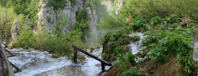 Poziv na pripremnu radionicu Natural Capital Financing Facility (NCFF)