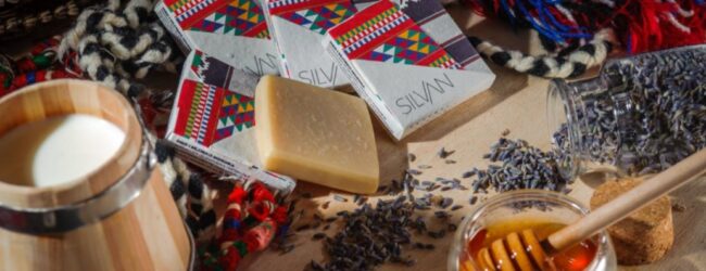 Panel: Uspješne priče mladih poduzetnika