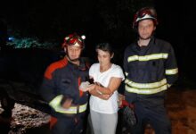Otočki vatrogasci spasili ćuka koji je ispao iz gnijezda