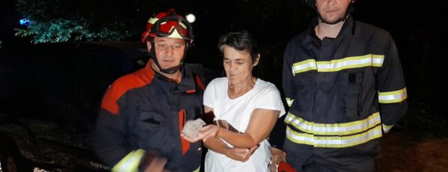 Otočki vatrogasci spasili ćuka koji je ispao iz gnijezda