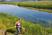 Zbog poribljavanja dva dana zabranjen ribolov na Gacki