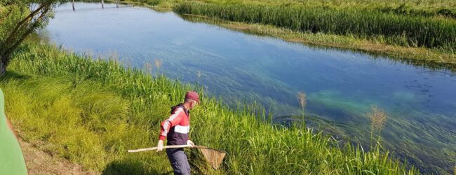 Zbog poribljavanja dva dana zabranjen ribolov na Gacki