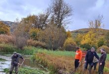 Nova radna akcija HŠRU Pastrva