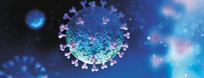 Danas 59 izliječenih, 28 novooboljelih