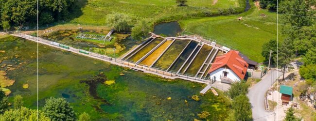 Dani otvorenih vrata Hrvatskog centra za autohtone vrste riba i rakova kraških voda