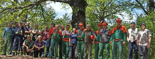 Akcija čišćenja u posebnom rezervatu „Laudonov gaj“
