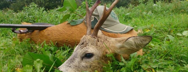Ustrijelio srnjaka bez pisanog dopuštenja