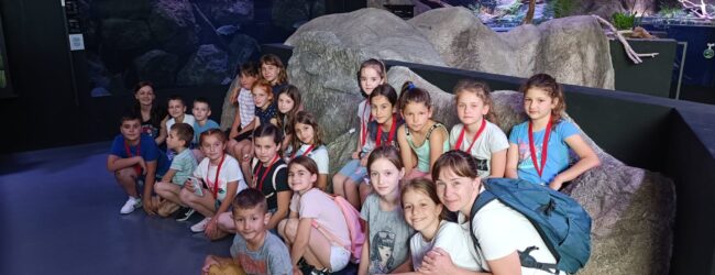 Uspješan nastup Taekwondo kluba Otočac na Karlovac Open 2022