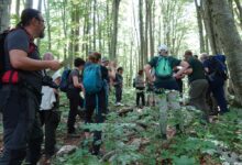 Šumski predio „Ramino korito“ kao šuma za znanstvena istraživanja