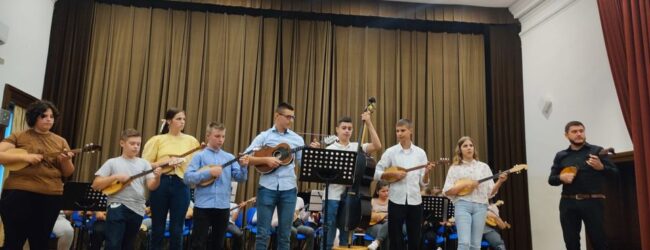 Održan završni koncert radionice sviranja dangubice