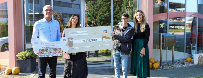 DM donirao više od tisuću konzervi hrane za Udrugu AnimalLika