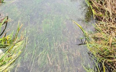 Radna akcija HŠRU Pastrva Ličko Lešće